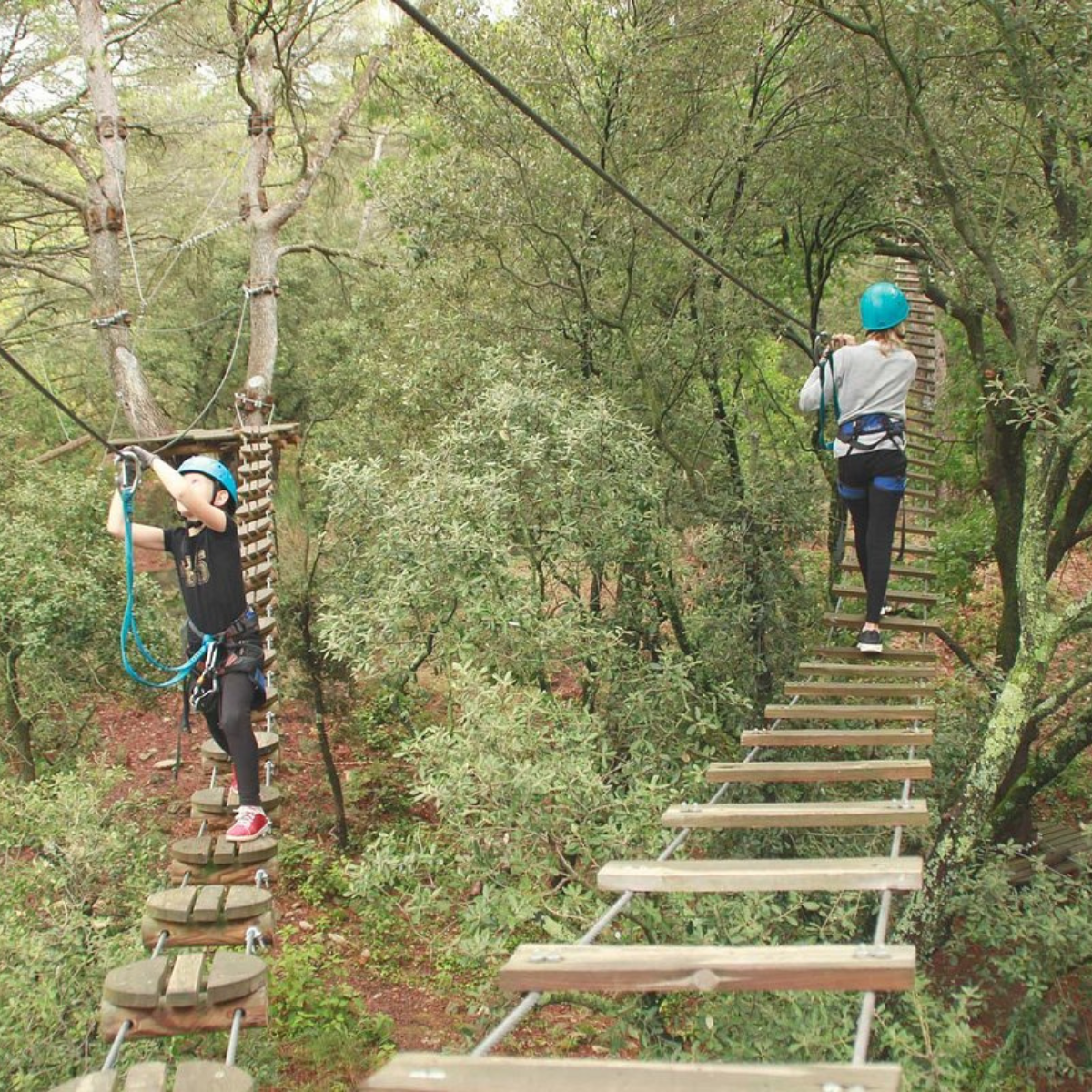 Accrobranche - Embarquez pour une aventure riche en sensations à l’accrobranche des passerelles des cimes (2h30 d’activité de 14h30 à 17h00)